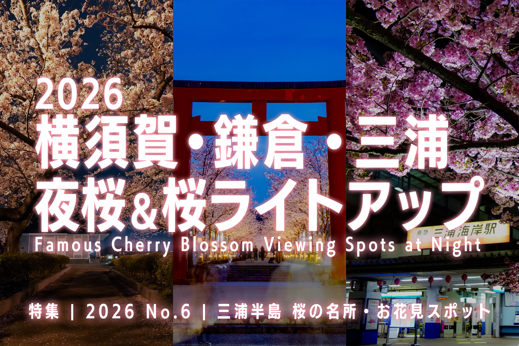 【2026 No.6】特集 | 横須賀・鎌倉・三浦夜桜スポット