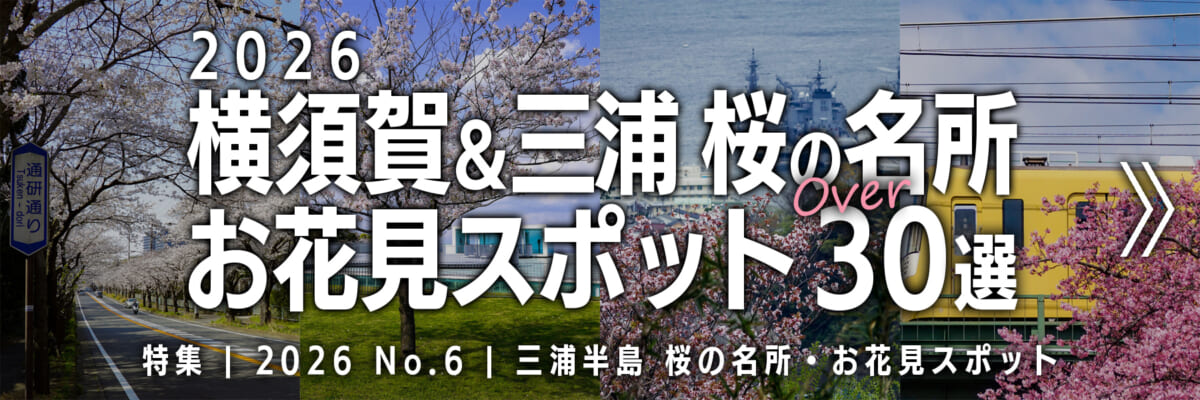 【2026 No.6】特集 | 横須賀桜の名所・お花見スポット