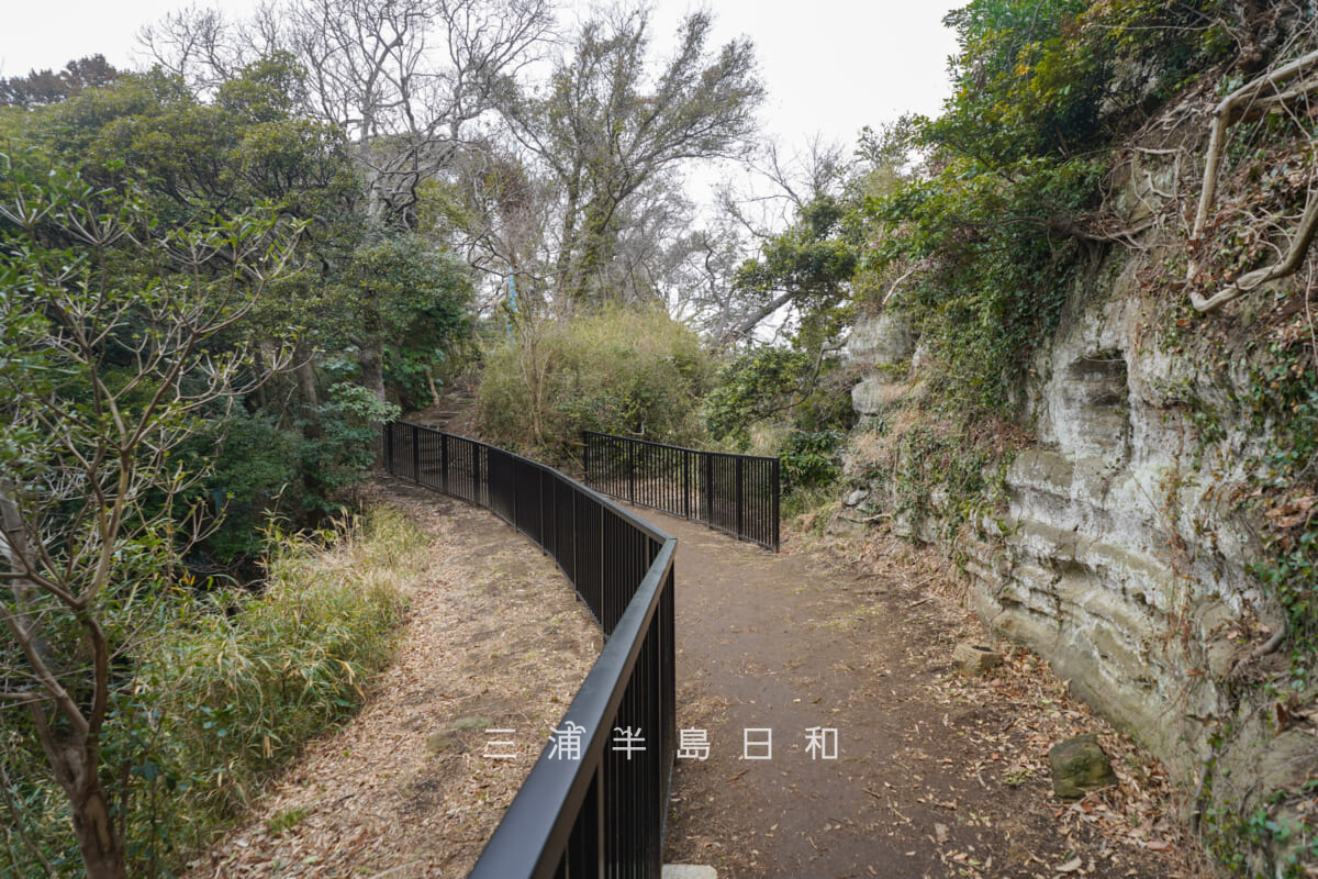 大町釈迦堂口遺跡・釈迦堂切通上部に整備された散策路（撮影日：2026.02.27）