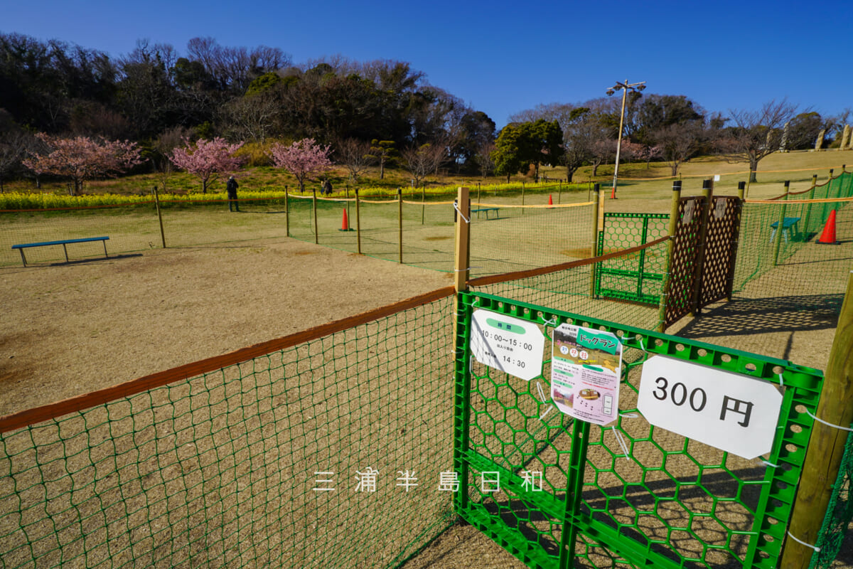 県立観音崎公園-花の広場・「観音崎公園さくらまつり」で使用されるドッグラン(撮影日:2026.02.19)