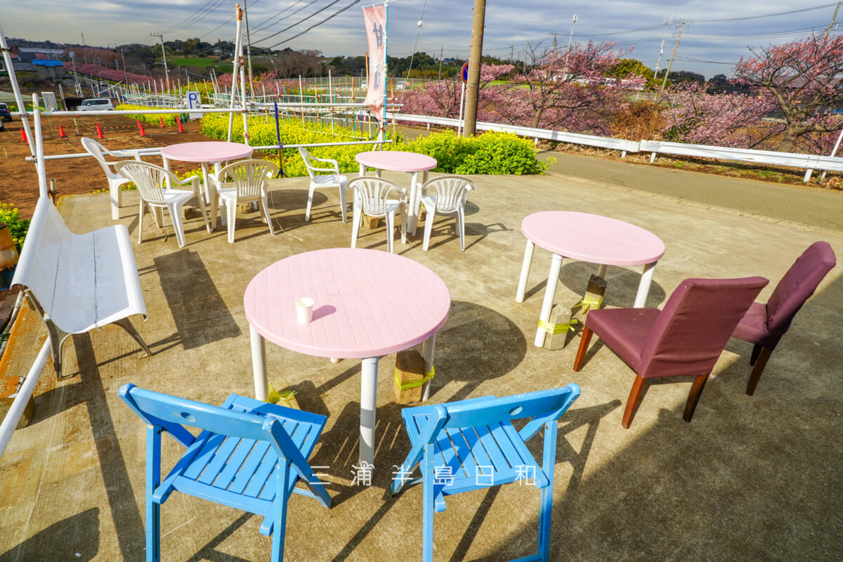 三浦海岸河津桜並木・臨時駐車場の上に出店しているカフェ「Blue Moon」さんのテラス席(イートインコーナー)(撮影日:2026.02.13)