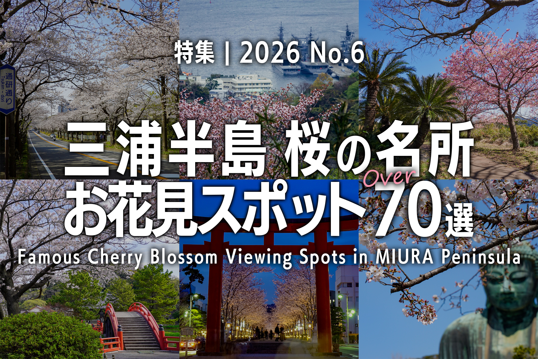 【2026 No.6】特集 | 三浦半島桜の名所・お花見スポット