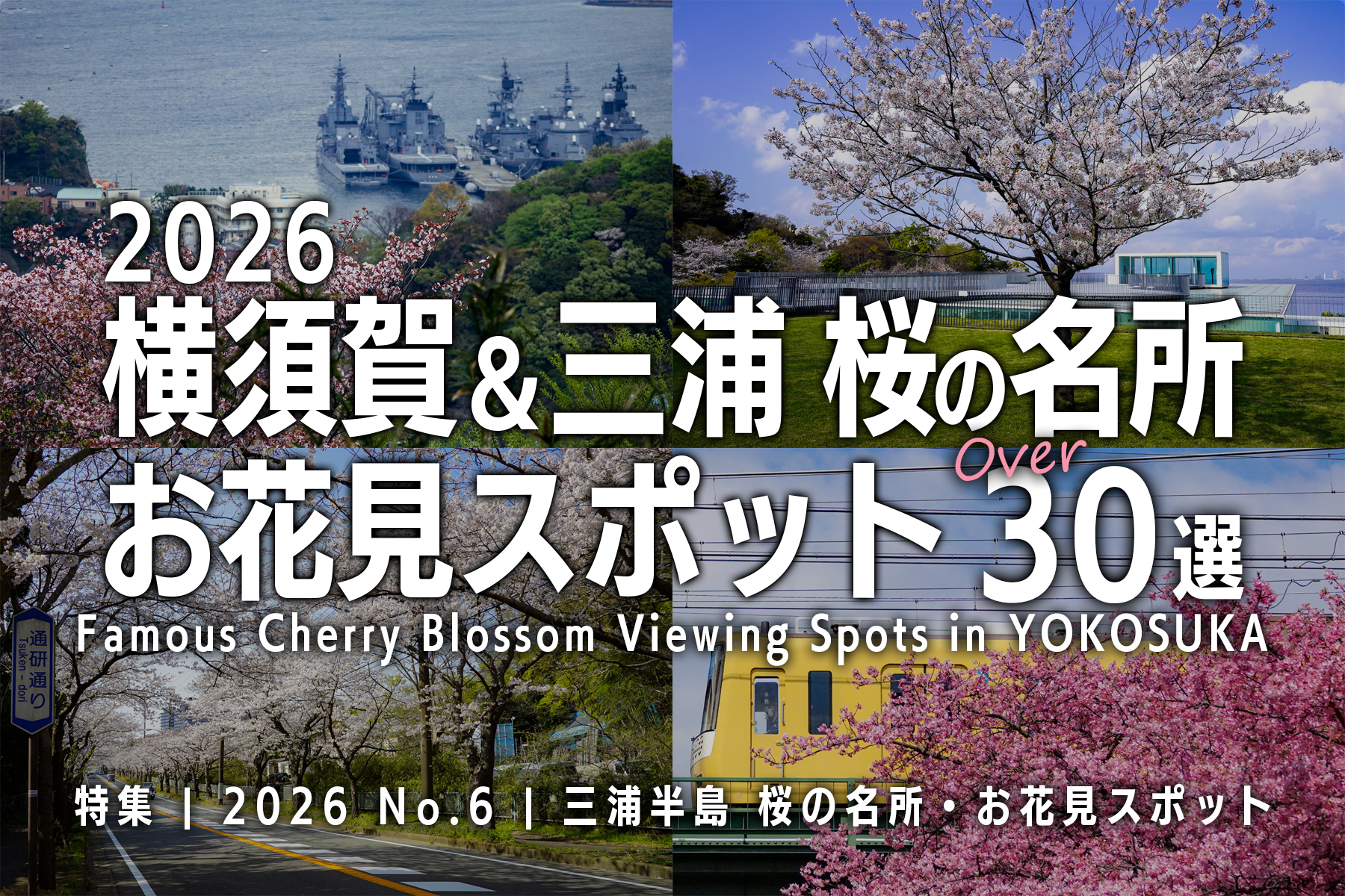 【2026 No.6】特集 | 横須賀桜の名所・お花見スポット