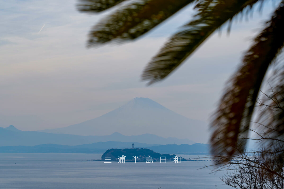 大崎公園・薄曇りの日の富士山と江の島（撮影日：2026.02.05）