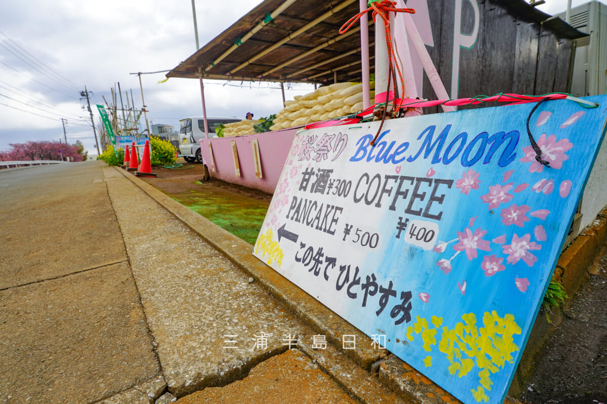 三浦海岸河津桜並木・臨時駐車場の上に出店しているカフェ「Blue Moon」さんの案内板(撮影日:2026.02.13)