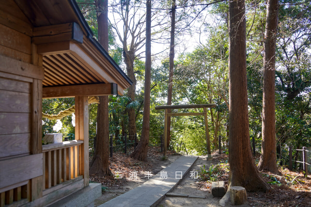 鎌足稲荷神社・社殿横より鳥居方面を望む（撮影日：2026.02.03）