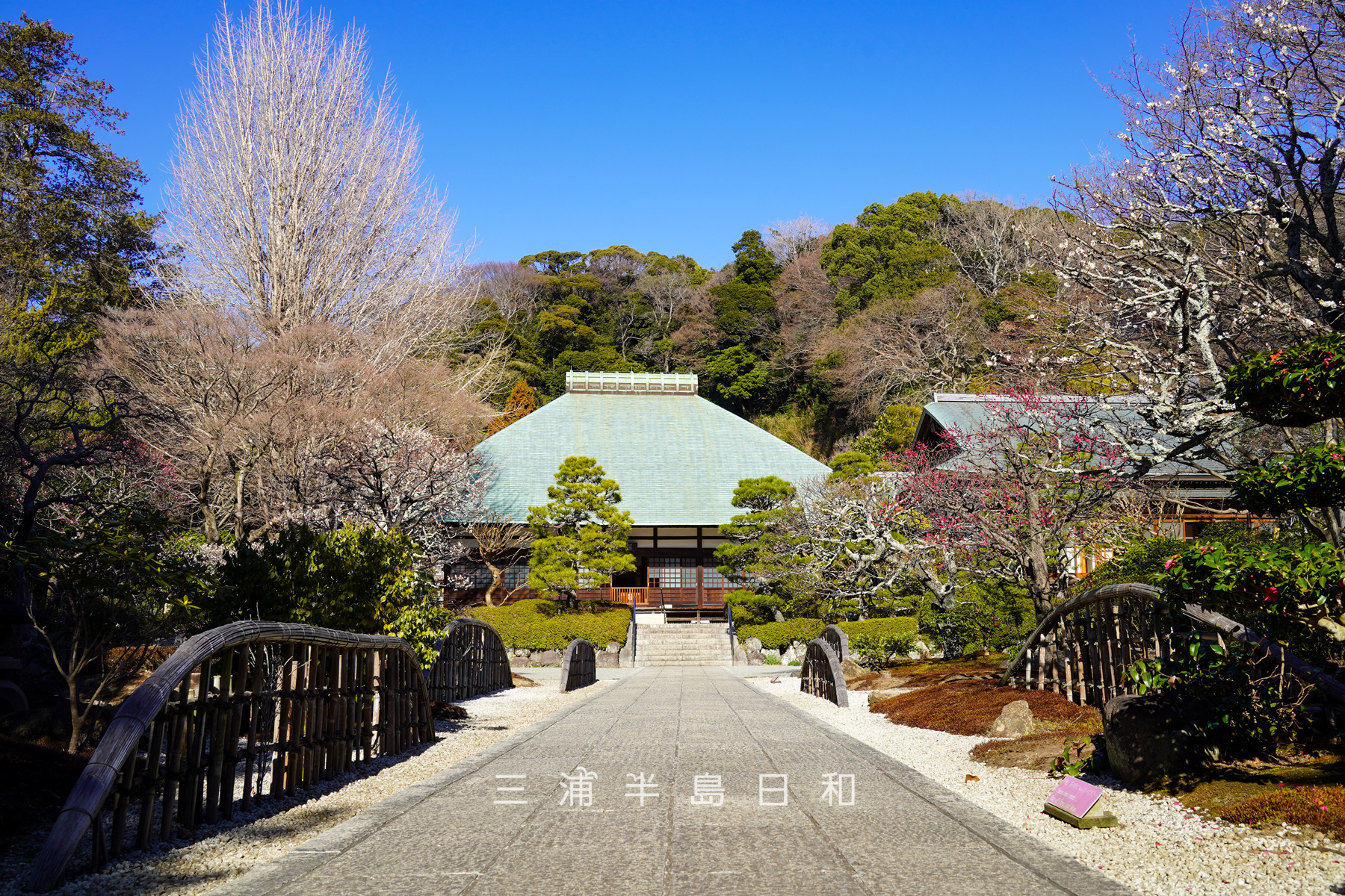 浄妙寺・初春の境内を拝観受付前より望む（撮影日：2026.02.03）