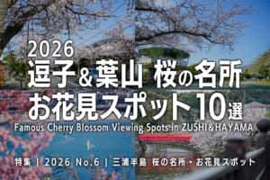 2026逗子＆葉山 桜の名所・お花見スポット10選