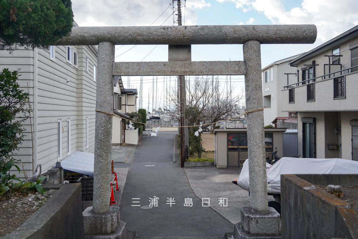 須賀神社（堀内）・社殿前より鳥居越しに葉山マリーナ方面を望む（撮影日：2026.01.22）