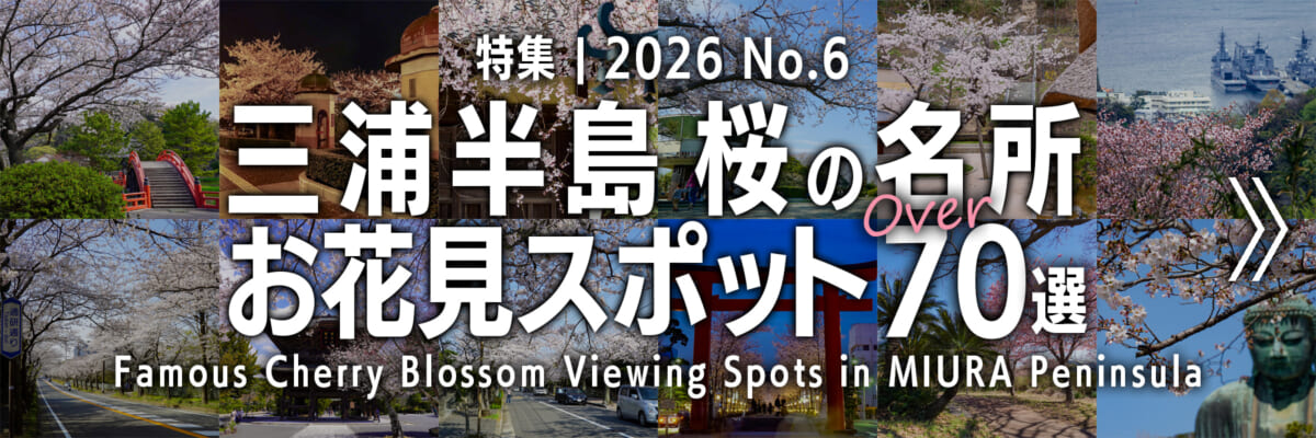 【2026 No.6】特集 | 三浦半島桜の名所・お花見スポット