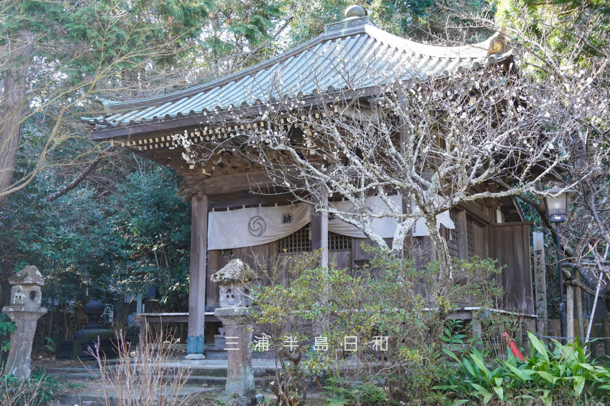 安国論寺・御小庵と白梅（撮影日：2026.02.03）