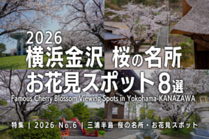 2026横浜金沢 桜の名所・お花見スポット8選