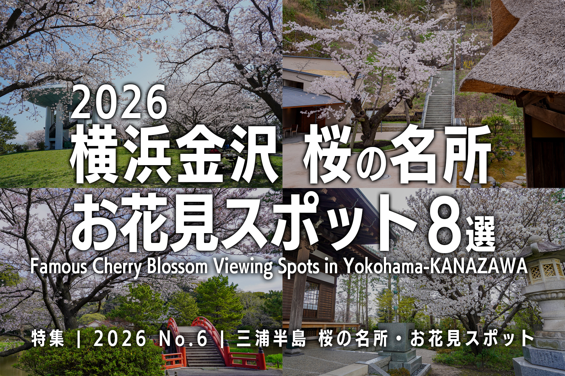 【2026 No.6】特集 | 横浜金沢桜の名所・お花見スポット