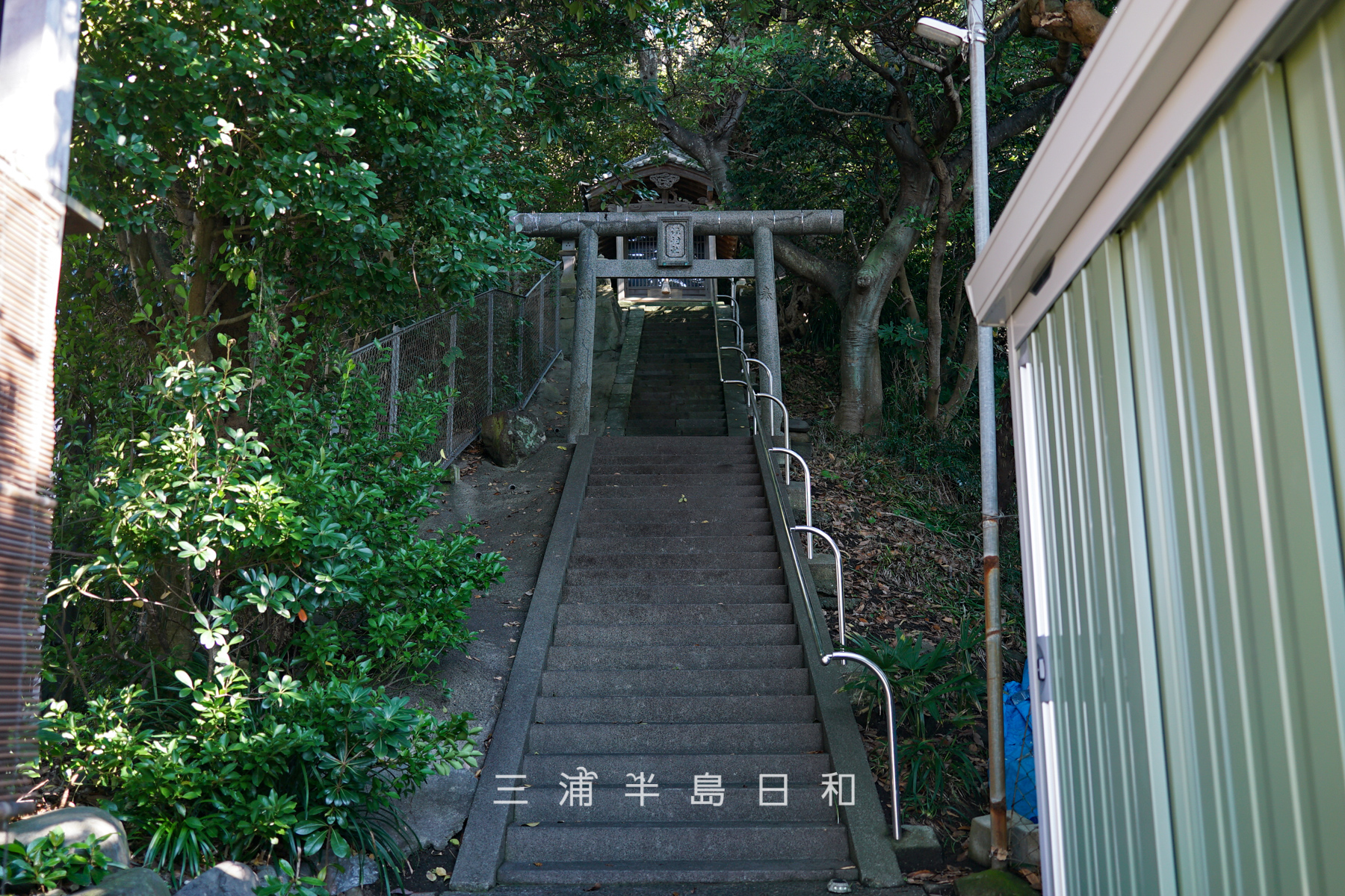 諏訪神社（堀内）（撮影日：2024.11.22）