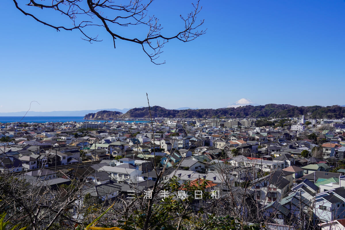安国論寺・富士見台より鎌倉市街、由比ヶ浜、富士山方面を望む（撮影日：2026.02.03）