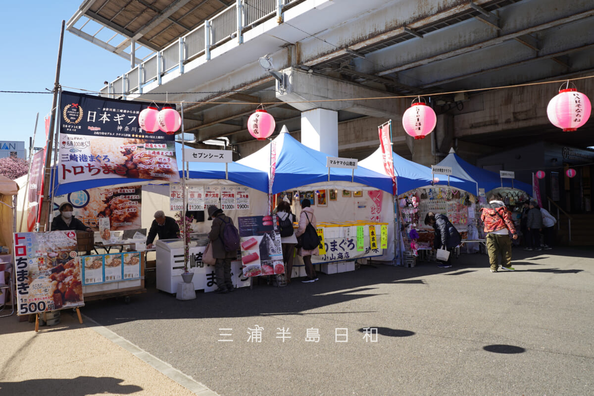 三浦海岸桜まつり・テント村-1(撮影日:2026.02.19)