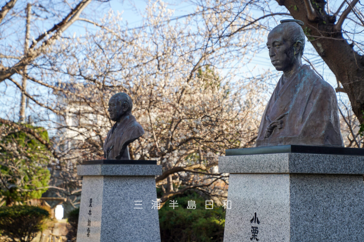 平和中央公園-博物館前広場・梅の季節の朝倉文夫「小栗上野介像」と作者不明「栗本鋤雲像」[アップ]（撮影日：2026.02.19）