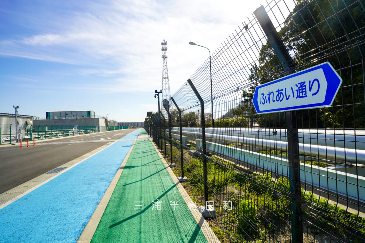 JERA park YOKOSUKA・「ふれあいグラウンド」と「ふれあい広場」を結ぶ「ふれあい通り」(撮影日:2026.02.10)