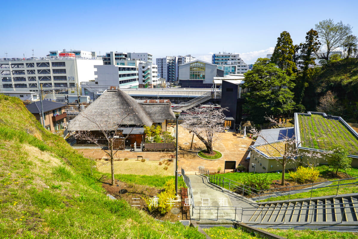 金沢八景権現山公園・旧円通寺客殿（旧木村家住宅主屋）・展望広場から見た春の園内（撮影日：2026.03.27）