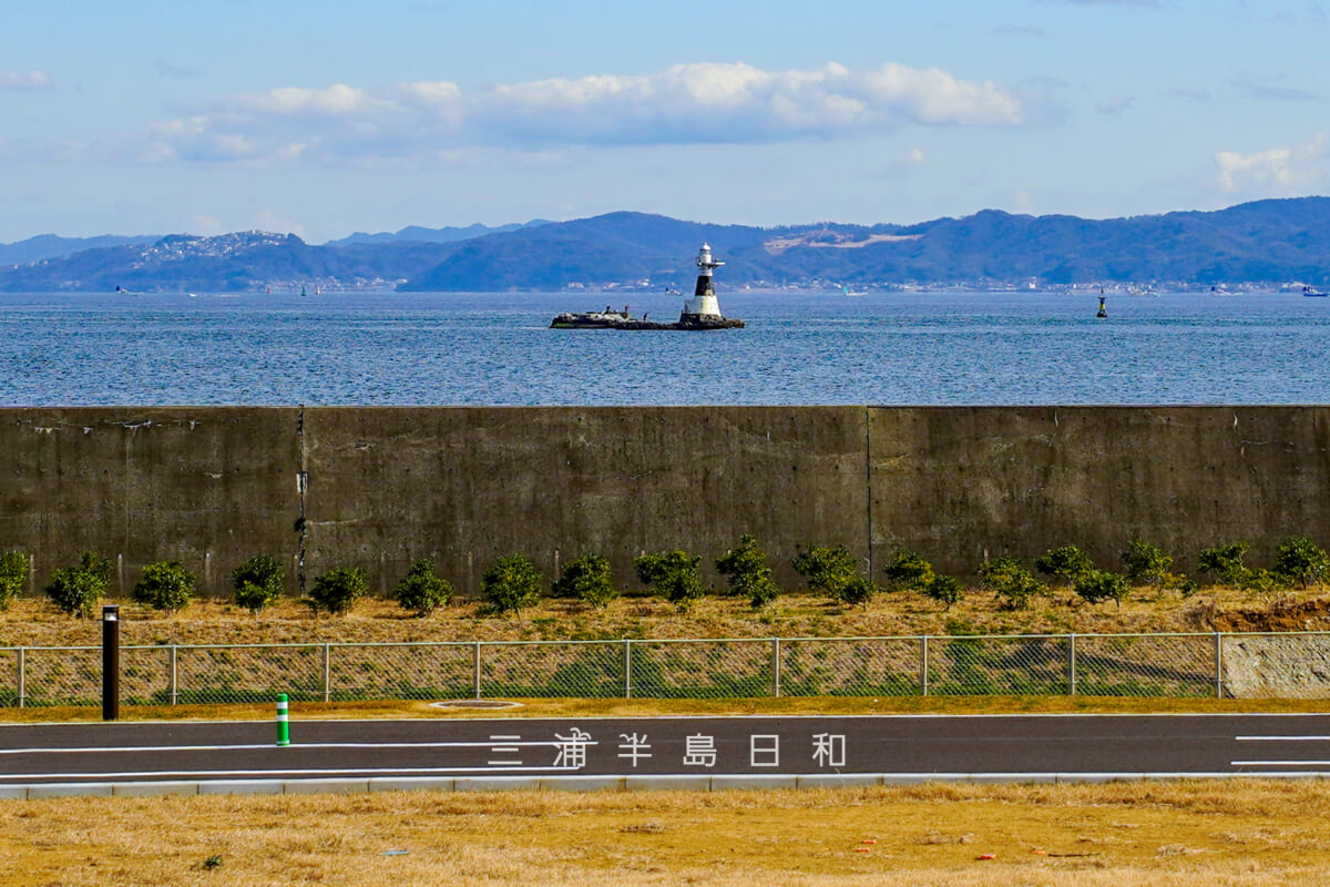 JERA park YOKOSUKA・「ふれあいの丘」より海獺島(海鹿島、アシカ島)を望む(撮影日:2026.02.10)
