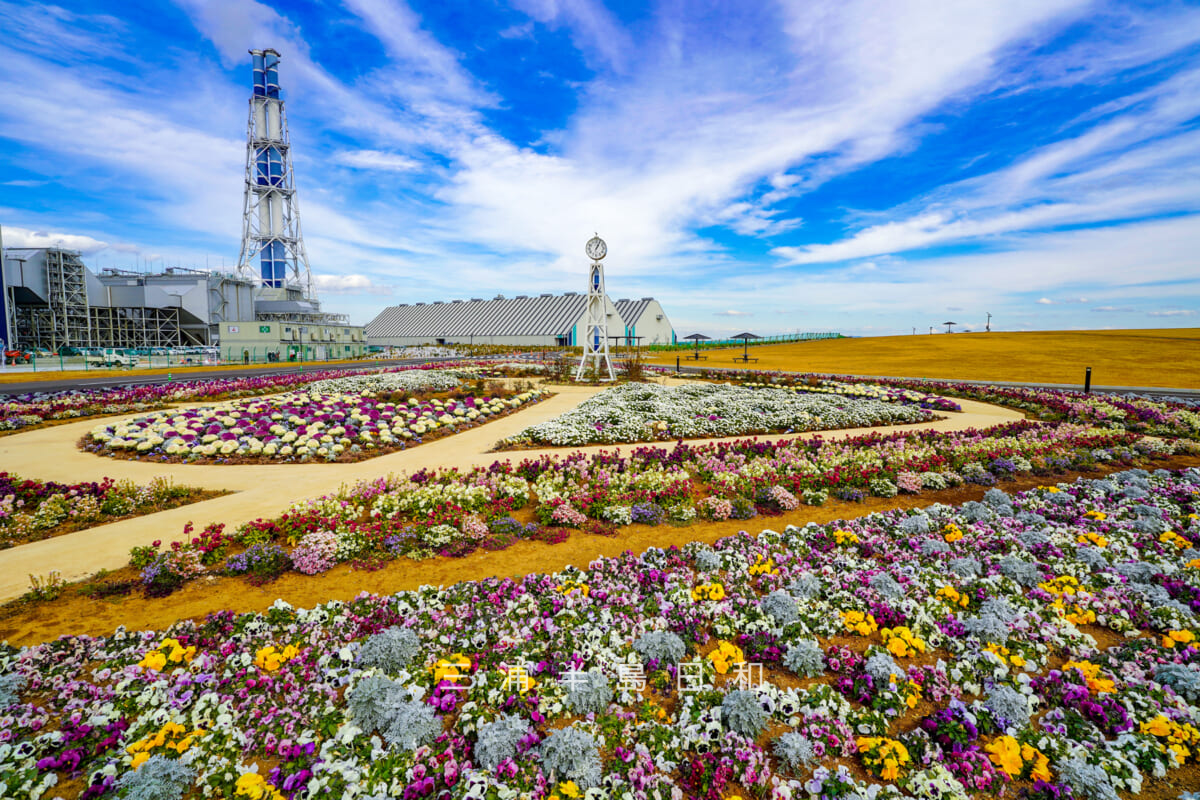 JERA park YOKOSUKA・「ふれあいの丘」の時計塔下の花壇と横須賀火力発電所(撮影日:2026.02.10)