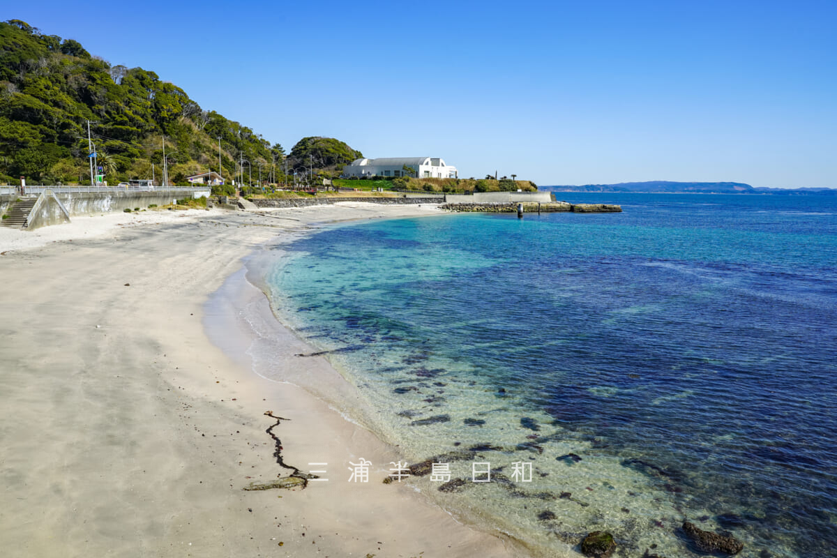 たたら浜・観音崎大橋側より見た砂浜全景(撮影日:2026.03.05)