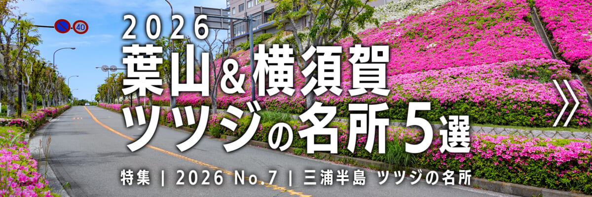 【2026 No.7】特集 | 葉山＆横須賀ツツジの名所