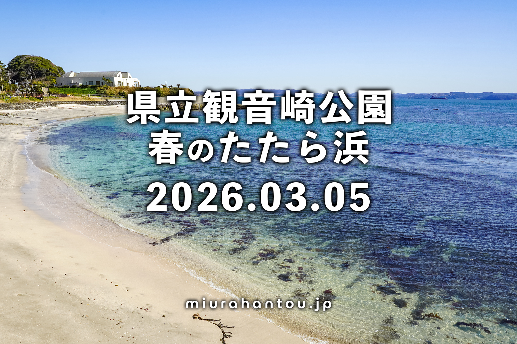 県立観音崎公園・春のたたら浜（撮影日：2026.03.05）