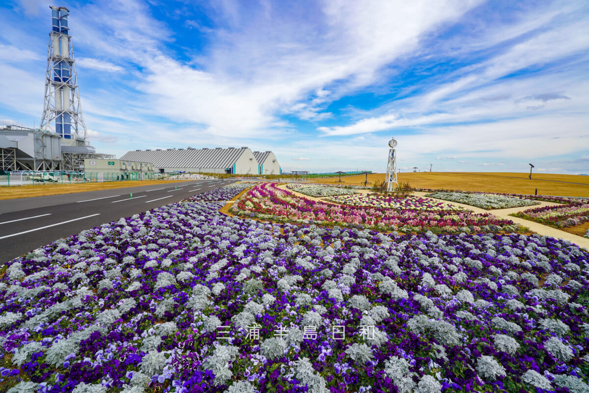 JERA park YOKOSUKA・「ふれあいの丘」の花壇と横須賀火力発電所の煙突(撮影日:2026.02.10)