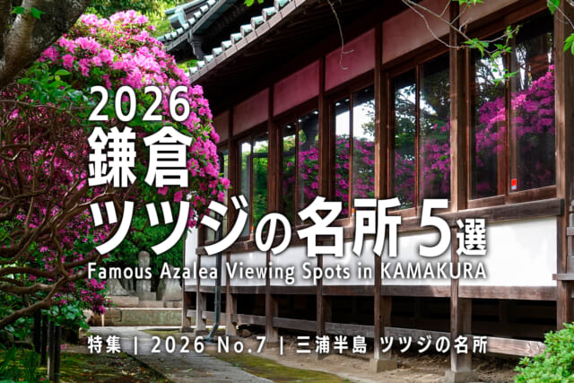 【2026 No.7】特集 | 鎌倉ツツジの名所