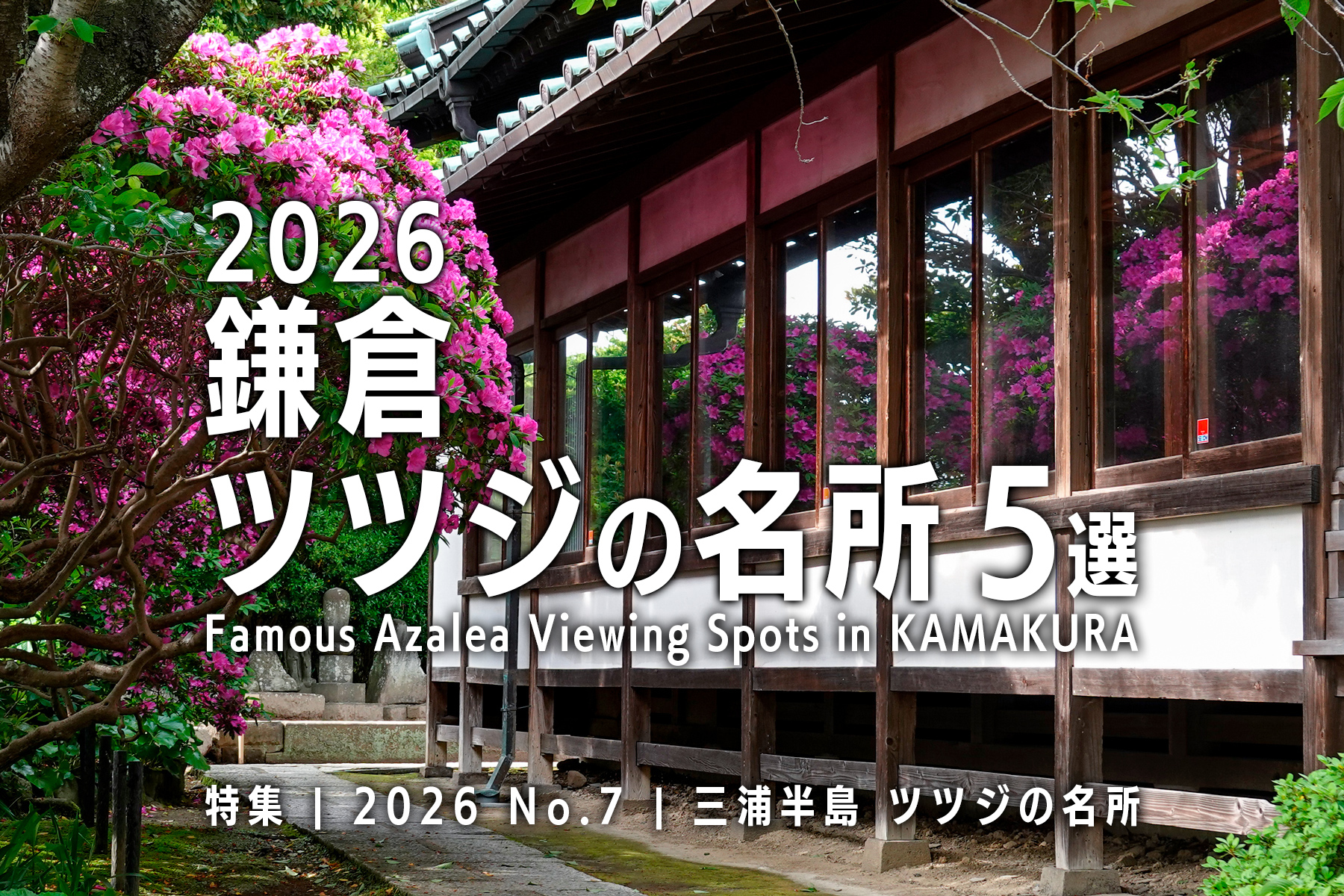 【2026 No.7】特集 | 鎌倉ツツジの名所