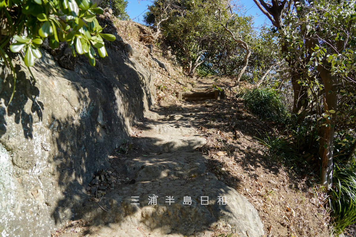 旗立山(軍見山)・登山道(撮影日:2026.02.03)