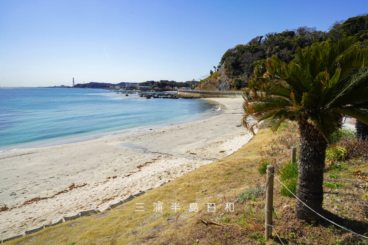 たたら浜・観音崎自然博物館側より望む（撮影日：2026.03.05）