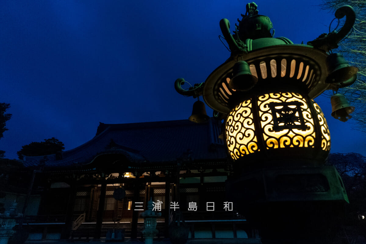 本覚寺・灯りがともされた灯篭と本堂(撮影日:2026.03.27)