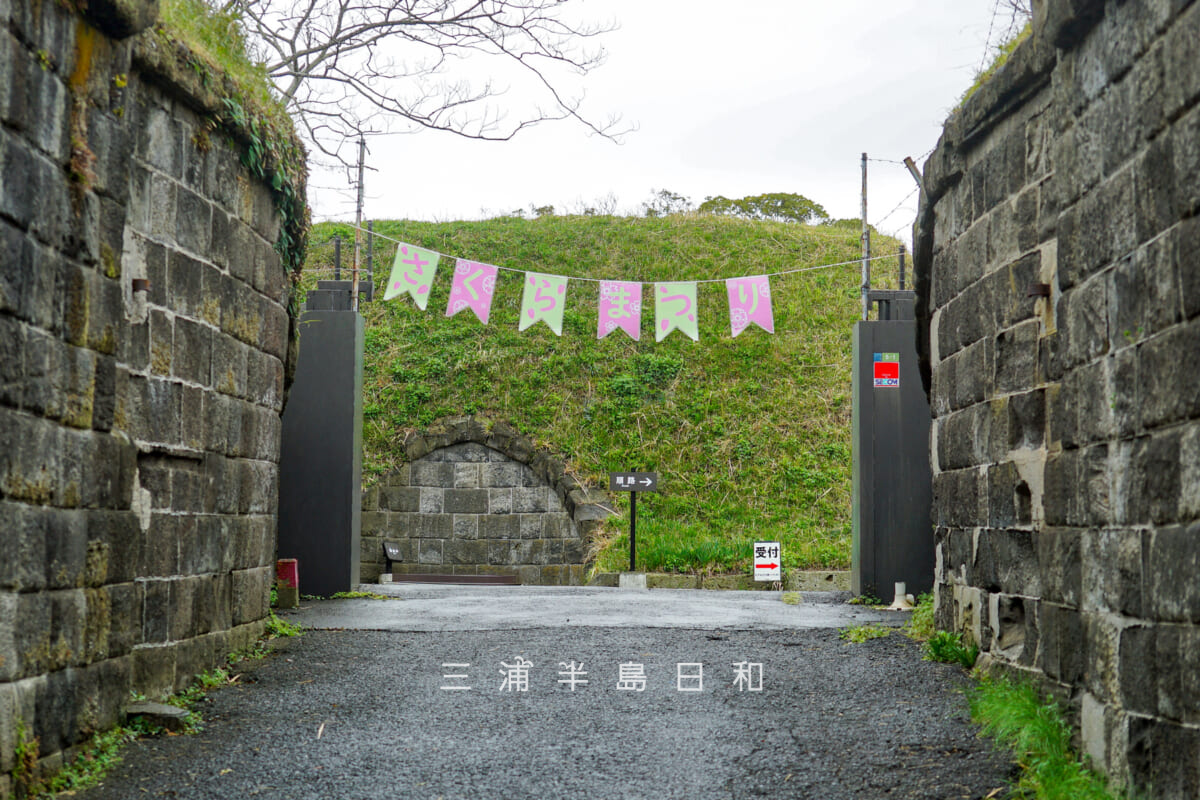 千代ヶ崎砲台跡さくらまつり・砲台跡入口（撮影日：2026.03.25）