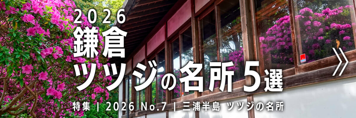 【2026 No.7】特集 | 鎌倉ツツジの名所