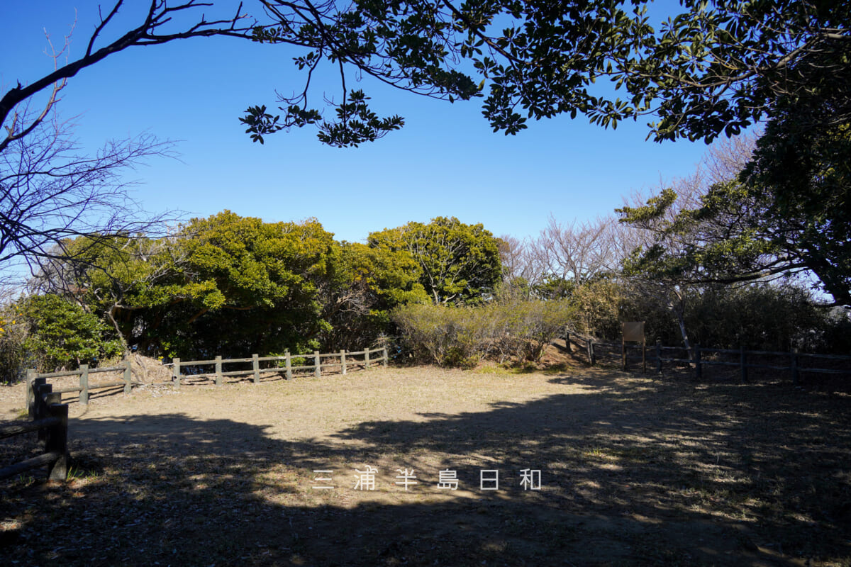 旗立山(軍見山)・頂上(撮影日:2026.02.03)