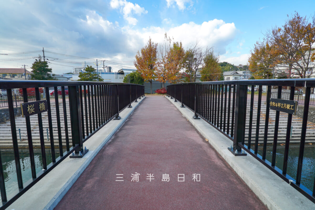 桜橋（宮川）（撮影日：2025.12.05）