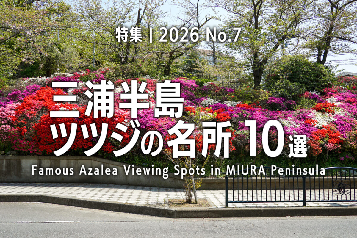 【2026 No.7】特集 | 三浦半島ツツジの名所