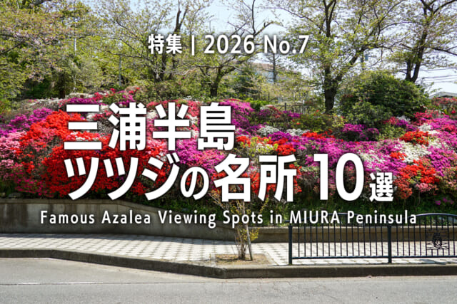 【2026 No.7】特集 | 三浦半島ツツジの名所