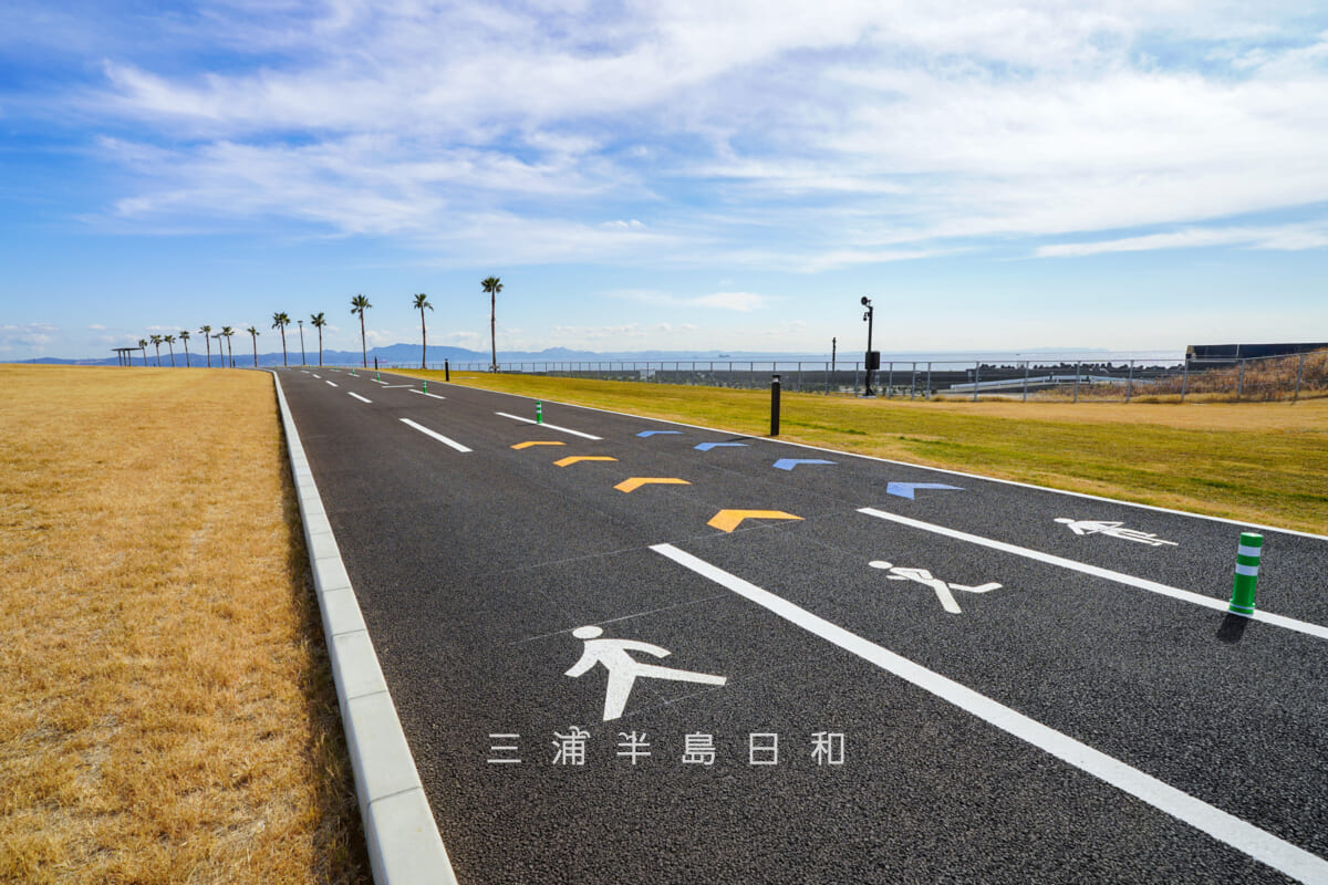JERA park YOKOSUKA・歩行者、ランナー、自転車用にコース分けされた「ふれあいの丘」の周回コース(撮影日:2026.02.10)