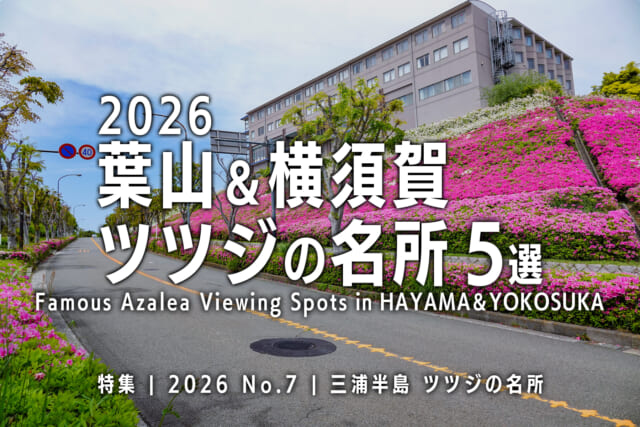 【2026 No.7】特集 | 葉山＆横須賀ツツジの名所