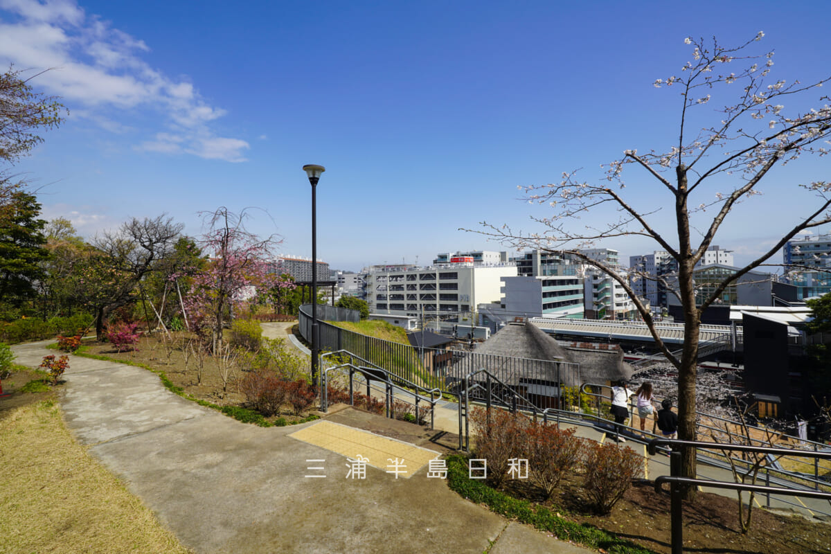 金沢八景権現山公園・旧円通寺客殿（旧木村家住宅主屋）・展望広場（撮影日：2026.03.27）