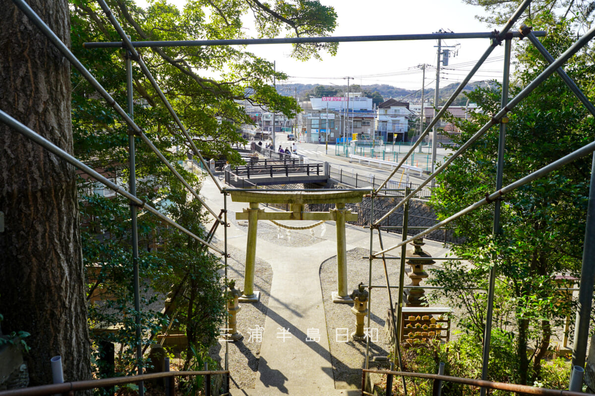 手子神社・社殿前より宮川方面を見下ろす（撮影日：2026.03.05）