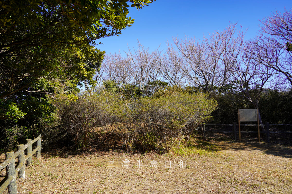 旗立山(軍見山)・伊藤祐親供養塚(撮影日:2026.02.03)
