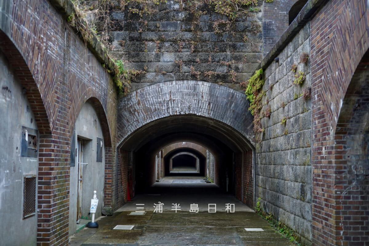 千代ヶ崎砲台跡・塁道のトンネル（撮影日：2026.03.25）