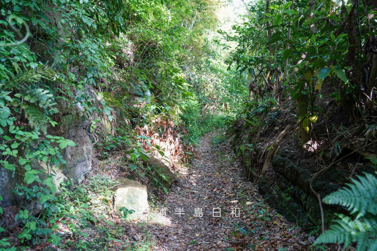 高野の切通し（長窪の切通し）から東側に続く古道（撮影日：2026.04.21）