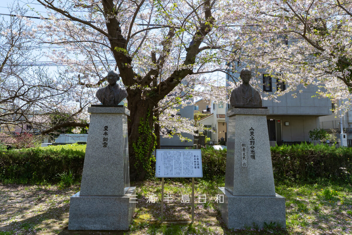 平和中央公園-博物館前広場・朝倉文夫「小栗上野介忠順胸像」と作者不詳「栗本鋤雲胸像」（撮影日：2026.04.08）
