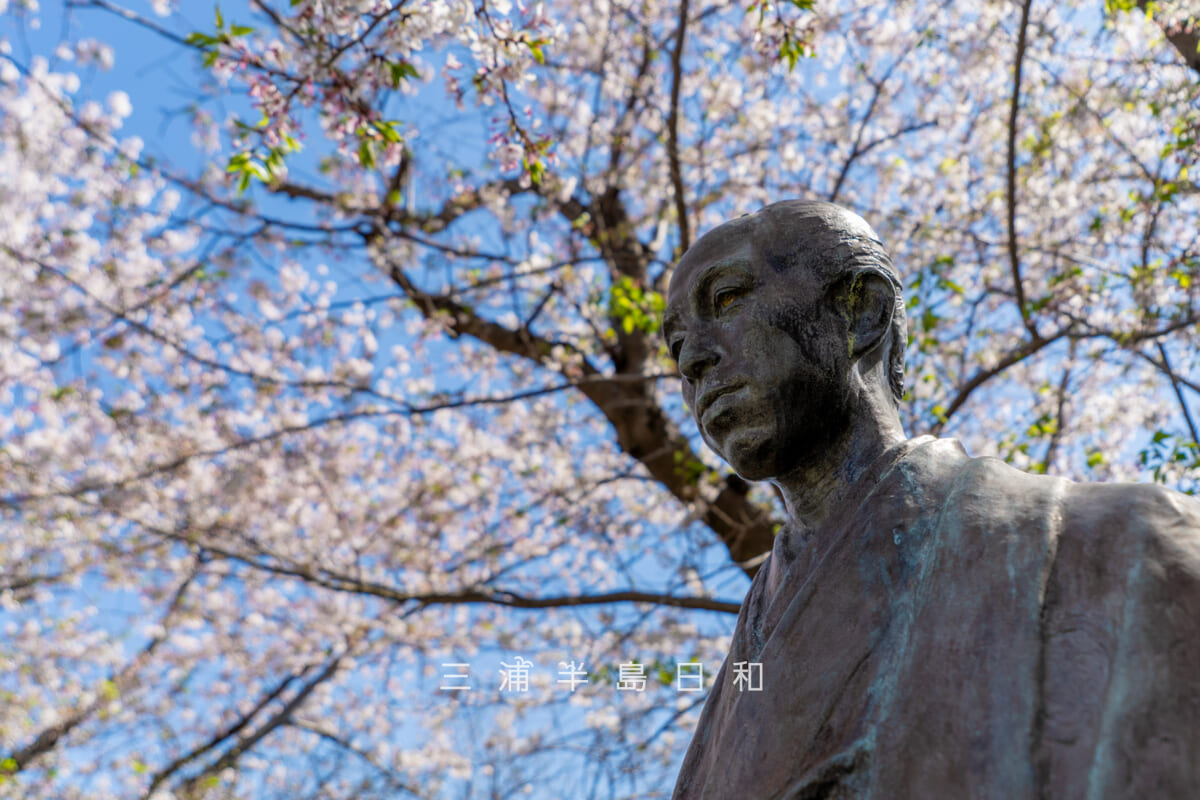 平和中央公園-博物館前広場・桜の季節の朝倉文夫「小栗上野介忠順胸像」[斜め右からアップ]（撮影日：2026.04.08）