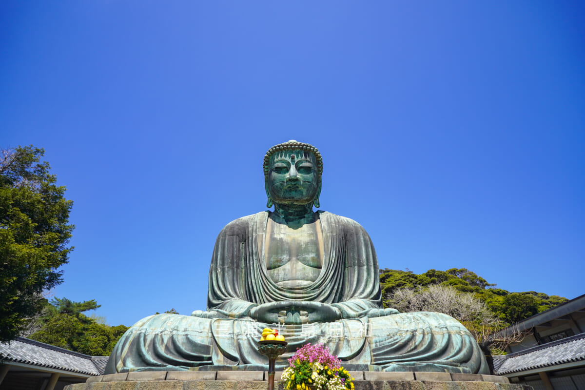 鎌倉大仏殿高徳院・大仏様を正面より拝む（撮影日：2026.04.03）